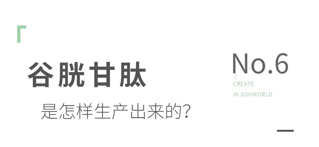 谷胱甘肽是如何生產(chǎn)的？