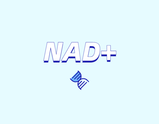 NAD +皮膚抗衰老的新方法