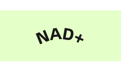 NAD+與衰老的關(guān)系