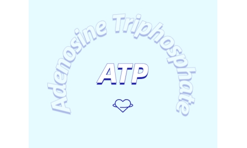 ATP補充劑對運動有什么益處？