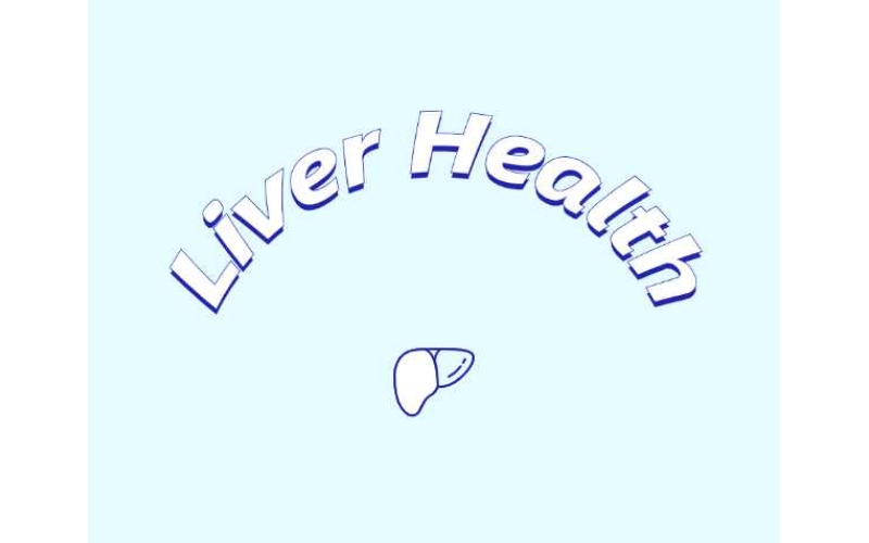 哪些原料可助力肝臟健康？